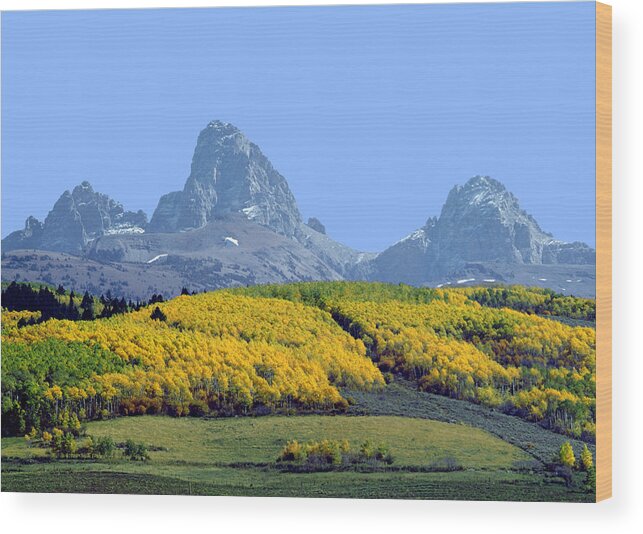 Driggs Wood Print featuring the photograph 107604-E-Tetons from the Back H by Ed Cooper Photography