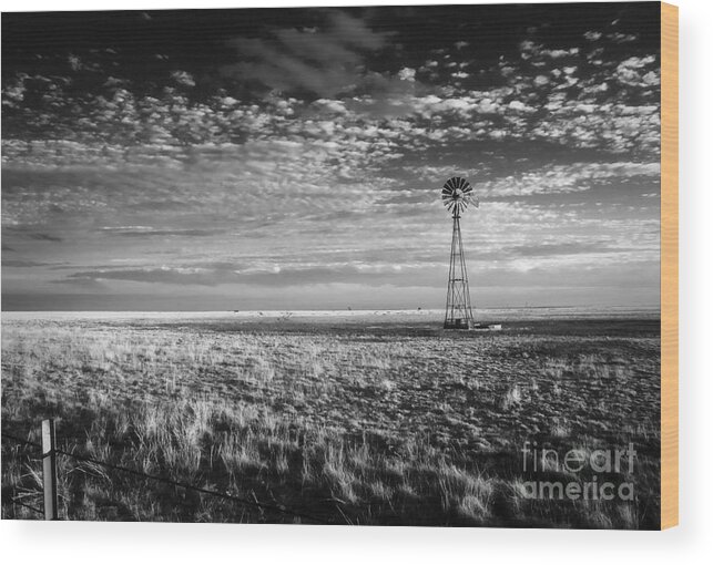 Cowboy Wood Print featuring the photograph Texas Plains Windmill by Fred Lassmann