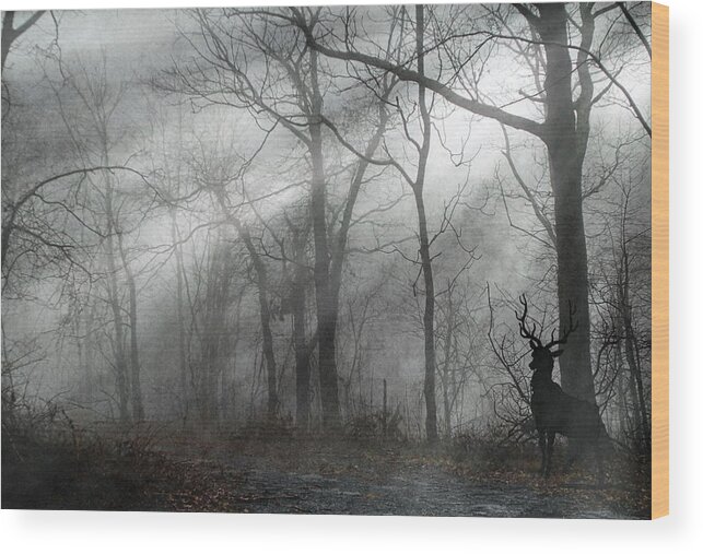 Buck Wood Print featuring the photograph The Buck - Hiking Surprise by Andrea Kollo