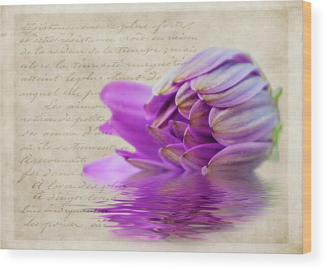 Flower Wood Print featuring the photograph The Bud by Cathy Kovarik