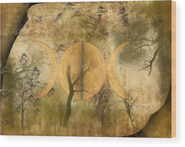 Pagan Wood Print featuring the photograph The Goddess by Scott Hovind