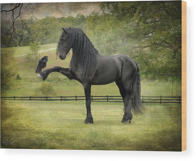 Friesian Horses Wood Print featuring the photograph The Harbinger by Fran J Scott