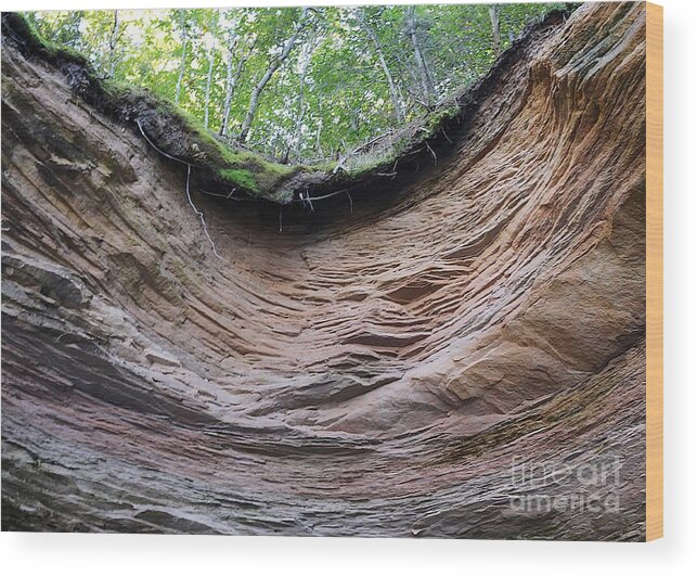  Wood Print featuring the photograph The Lions Den by Robert Pearson