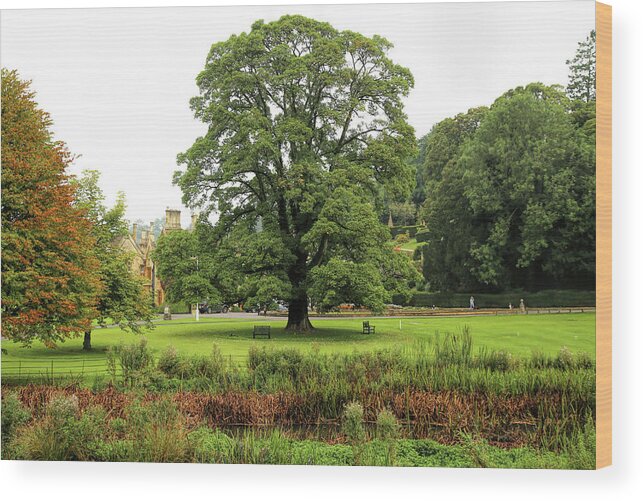 The Manor Wood Print featuring the photograph The Manor Castle Combe by Michael Hope