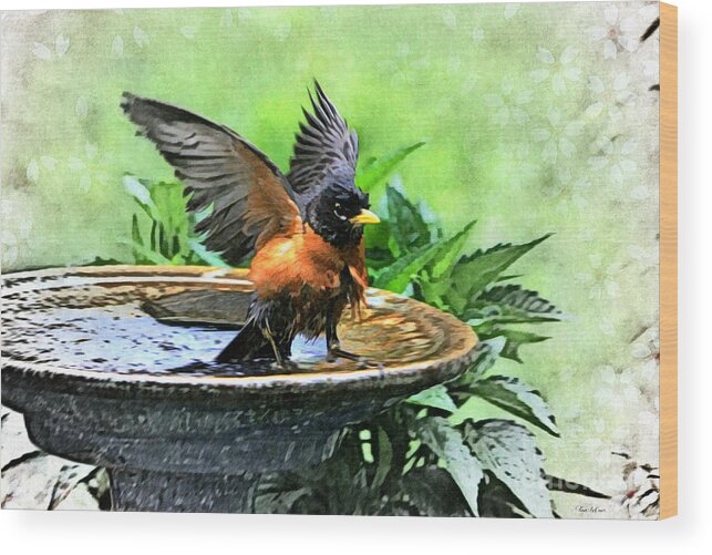 American Robin Wood Print featuring the photograph The Messenger by Tina LeCour