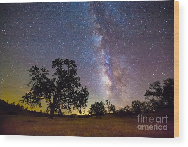 Milky Way Wood Print featuring the photograph The Milky Way With One Perseid Meteor by Mimi Ditchie
