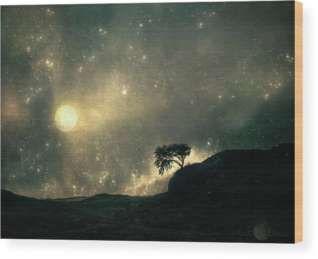 Glencoe Moor Wood Print featuring the photograph Where Danced The Moon by Cybele Moon