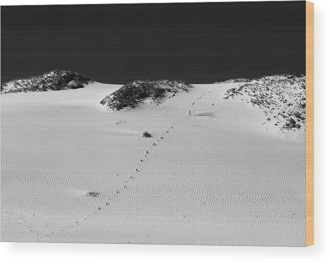 Sand Wood Print featuring the photograph The Path - Black and White by David Smith