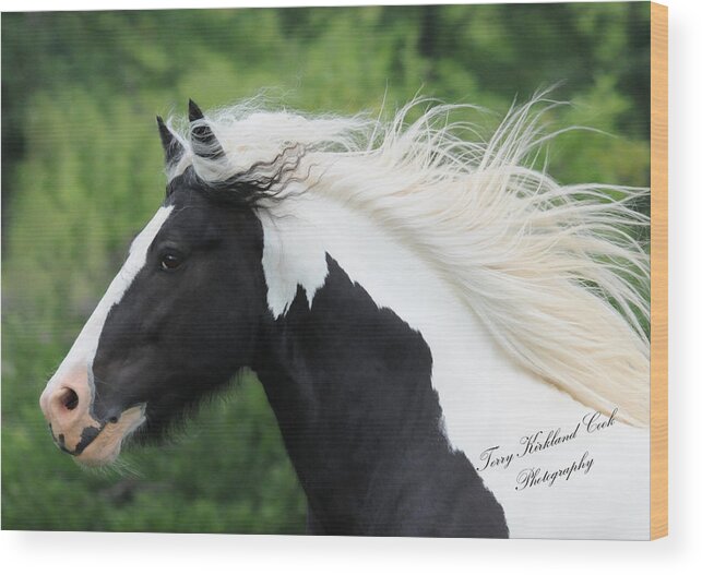 Equine Wood Print featuring the photograph The Perfect Stallion by Terry Kirkland Cook