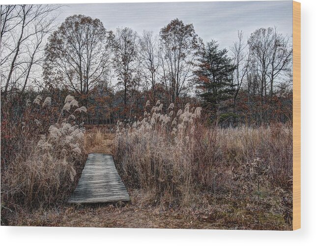 Rural Wood Print featuring the photograph The Preserve by Karen Smale