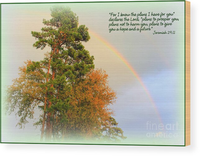 Scripture Photos Wood Print featuring the photograph The Promises of God by Kathy White