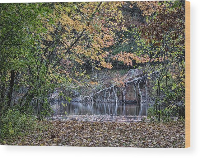 Fall Wood Print featuring the photograph The Quarry 2016 by Thomas Young