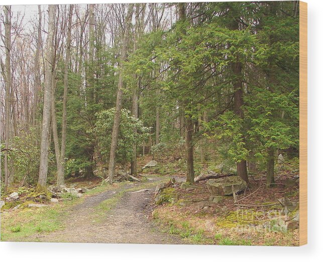 Woodsy Scene Wood Print featuring the photograph The Road Home by Penny Neimiller