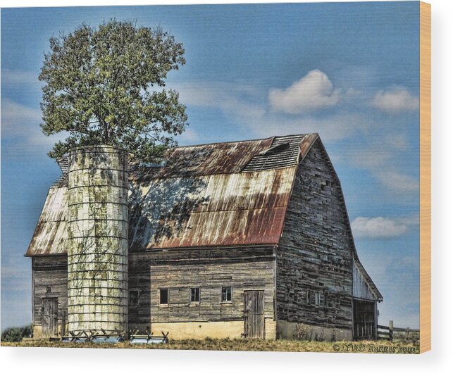 Farms Wood Print featuring the photograph The Tree Silo by Kristie Bonnewell