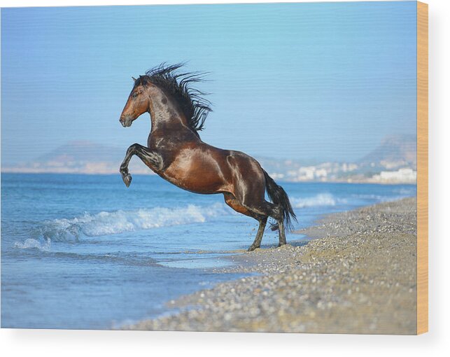 Russian Artists New Wave Wood Print featuring the photograph The Wave. Andalusian Horse by Ekaterina Druz