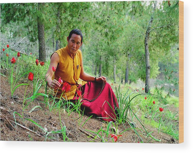 Tibetan Wood Print featuring the photograph Tibetan doctor in Lahav forest by Dubi Roman