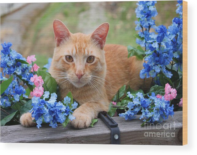 Calico Wood Print featuring the photograph Tiger in the Flowers by Lena Auxier