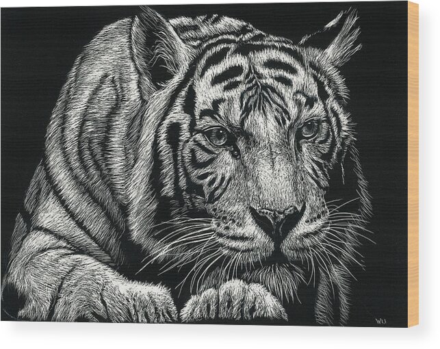 Tiger Wood Print featuring the drawing Tiger Pause by William Underwood