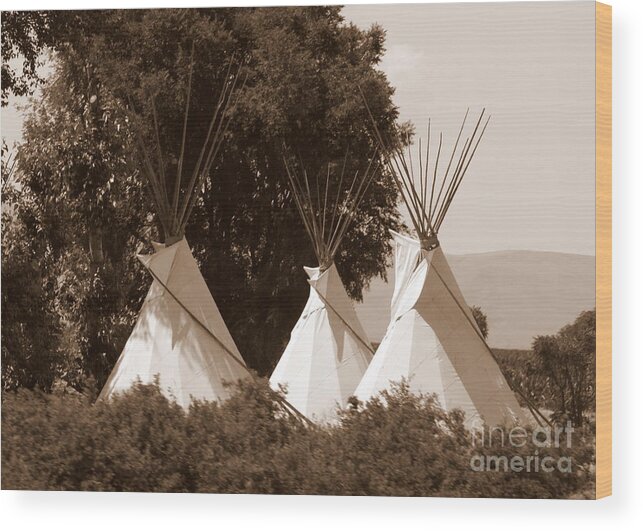 Tipis Wood Print featuring the photograph Tipis in Toppenish by Carol Groenen