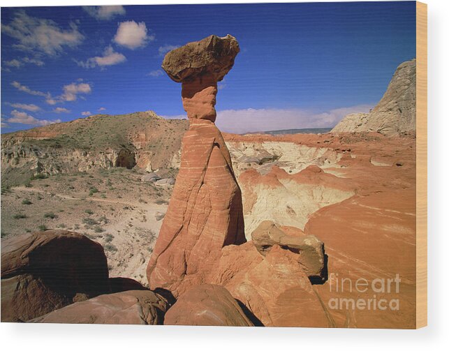 00340963 Wood Print featuring the photograph Toadstool Caprocks Utah by Yva Momatiuk John Eastcott