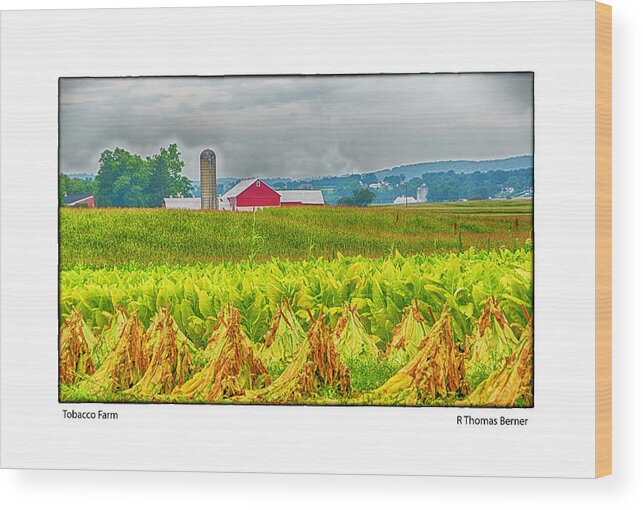 Barn Wood Print featuring the photograph Tobacco Farm by R Thomas Berner