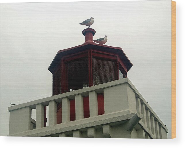 Lighthouse Wood Print featuring the photograph Top Of The Light by Mary Haber