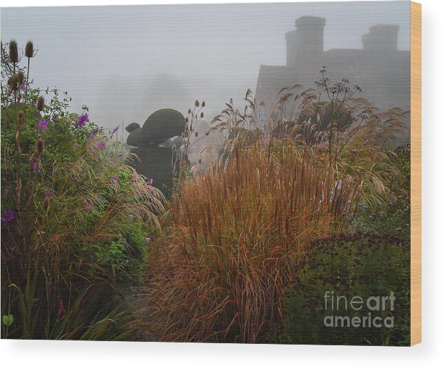 Topiary Wood Print featuring the photograph Topiary Peacocks in the Autumn Mist, Great Dixter 2 by Perry Rodriguez