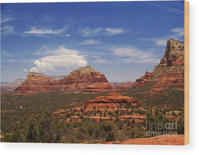 Sedona Wood Print featuring the photograph Touch The Earth by Linda Shafer