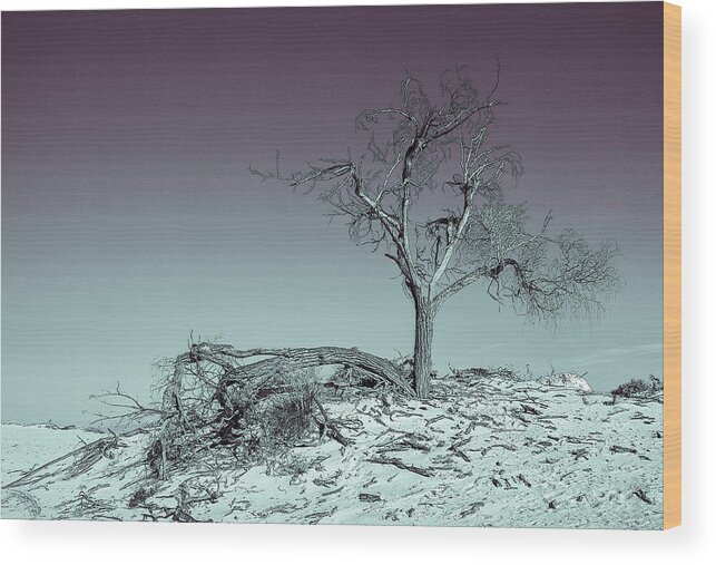 Monument Wood Print featuring the photograph Tree at White Sands, New Mexico by Roslyn Wilkins