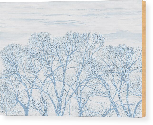 Tree Wood Print featuring the photograph Tree Silhouette Blue by Jennie Marie Schell