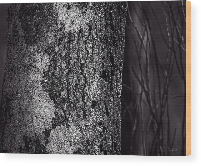 Tree Wood Print featuring the photograph Tree Trunk by Bob Orsillo