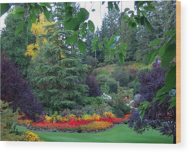 Gardens Wood Print featuring the photograph Trees and Flowers by Betty Buller Whitehead