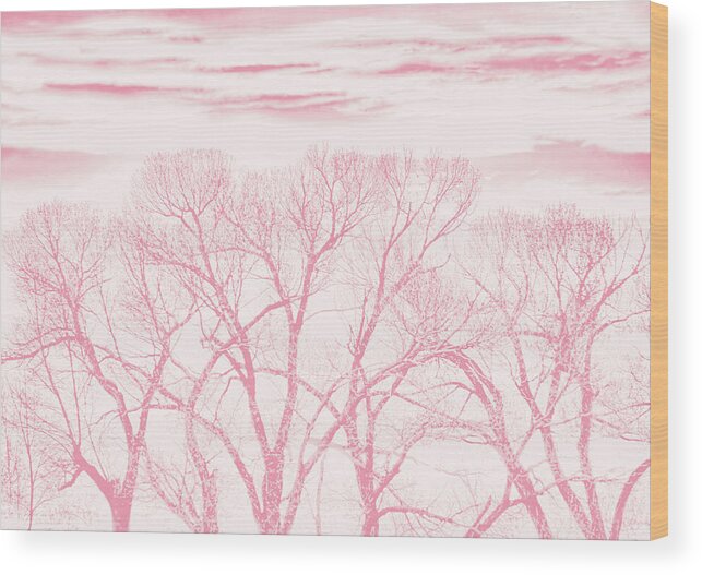 Tree Wood Print featuring the photograph Trees Silhouette Pink by Jennie Marie Schell