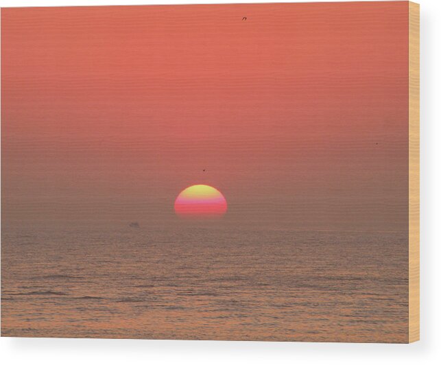 Sun Wood Print featuring the photograph Tricolor Sunrise by Robert Banach