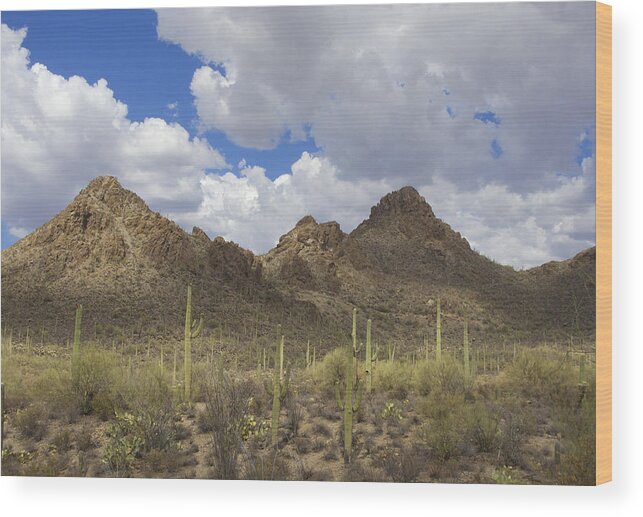 Tucson Mountains Wood Print featuring the photograph Tucson Mountains by Elvira Butler
