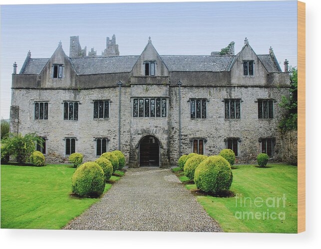 Castle Wood Print featuring the photograph Tudor Manor - Carrick on Suir by Joe Cashin