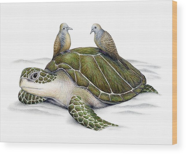 Ocean Wood Print featuring the painting Turtle Doves by Don McMahon