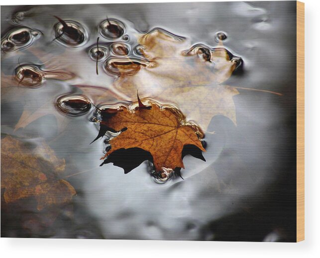 Usa Wood Print featuring the photograph Under Water Fall by LeeAnn McLaneGoetz McLaneGoetzStudioLLCcom