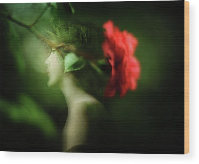 Pink Wood Print featuring the photograph Upon the Green Night by Rebecca Sherman