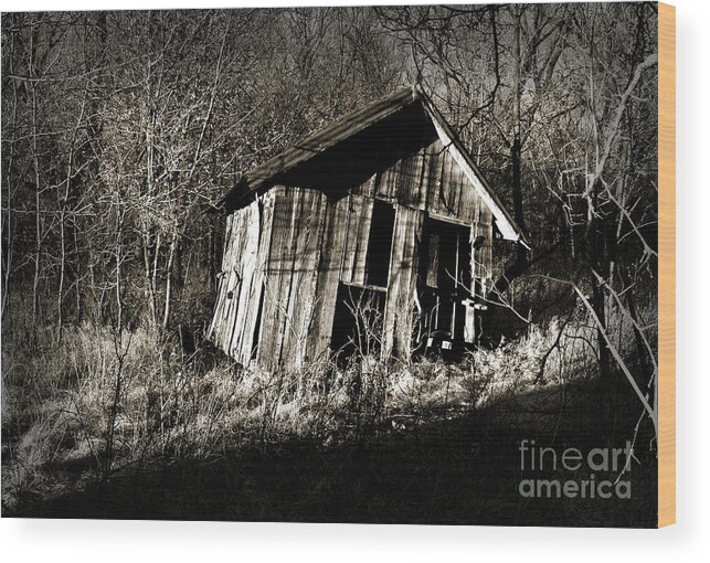 Kansas Wood Print featuring the photograph Used Up by Fred Lassmann