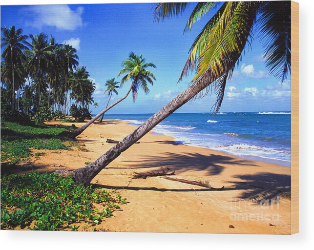 Puerto Rico Wood Print featuring the photograph Vacia Talega Shoreline by Thomas R Fletcher