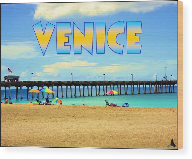 Beach Wood Print featuring the photograph Venice Florida by Robert Wilder Jr