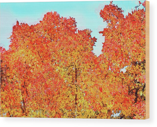 Trees Wood Print featuring the digital art Vibrant Autumn Trees by Kae Cheatham