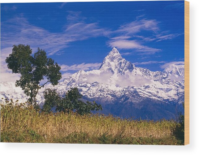 Beauty In Nature Wood Print featuring the photograph View Of Machhapuchhare From Sarangkot by Bilderbuch