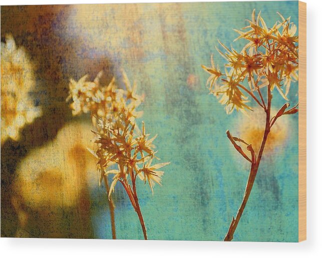 Spring Wood Print featuring the photograph Visit by Mark Ross