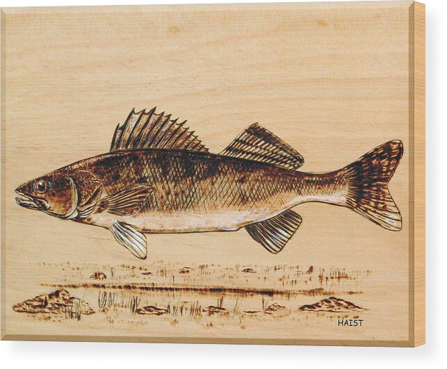 Walleye Wood Print featuring the pyrography Walleye by Ron Haist