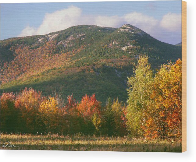 Mountains Wood Print featuring the photograph Welch and Dickey Mountains by Nancy Griswold