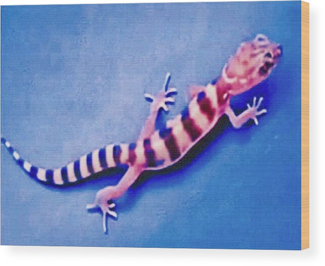 Arizona Wood Print featuring the photograph Western Banded Gecko by Judy Kennedy