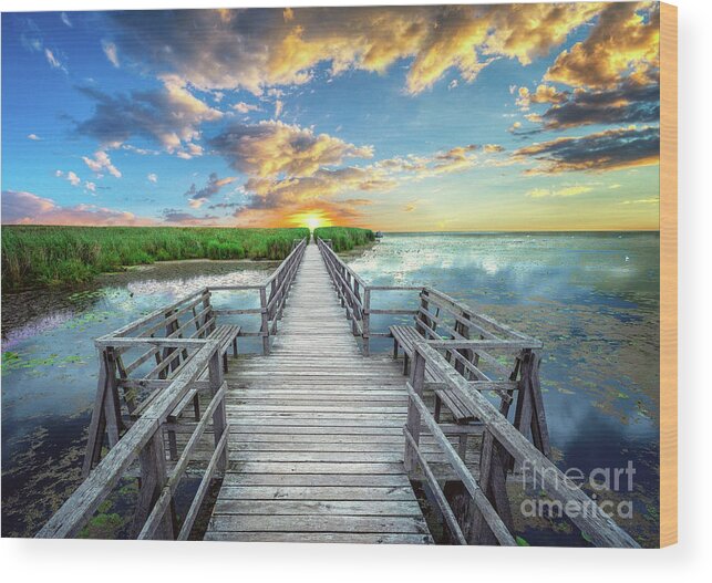 Blue Wood Print featuring the photograph Wetland Marsh Sunrise Treasure Coast Florida Boardwalk A1 by Ricardos Creations