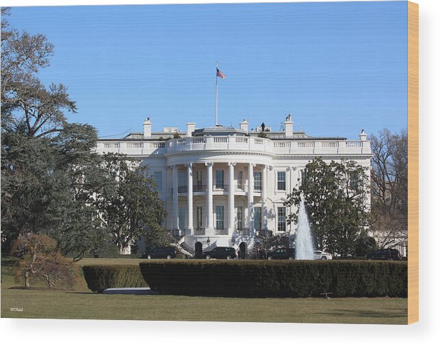 White Wood Print featuring the photograph White House Rose Garden - Waiting for the President by Ronald Reid